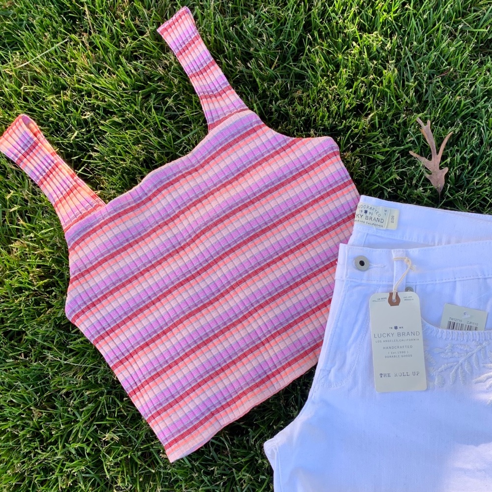 American Eagle Pink Stripe Crop Top